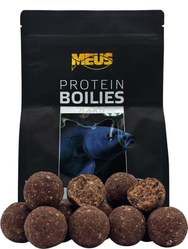 Boilies 20mm – Squid Scopex